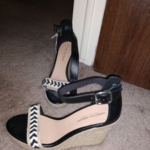 Black and tan wedge hills